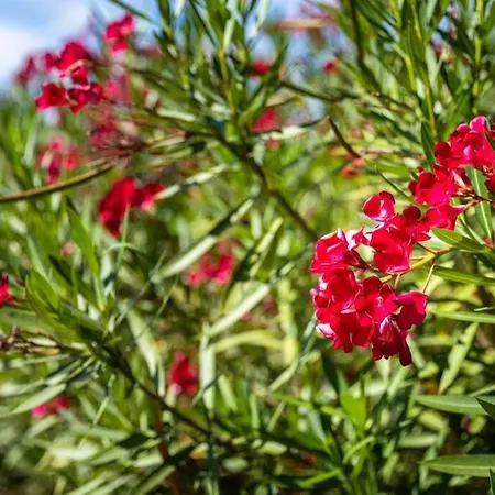 Casa Rosa - Heated Pool&sea Views Loulé