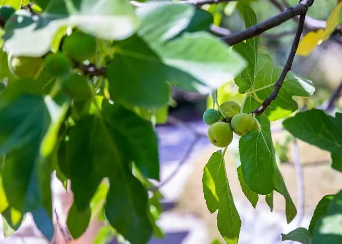 Casa Rosa - Heated Pool & Sea Views 别墅 楼尔