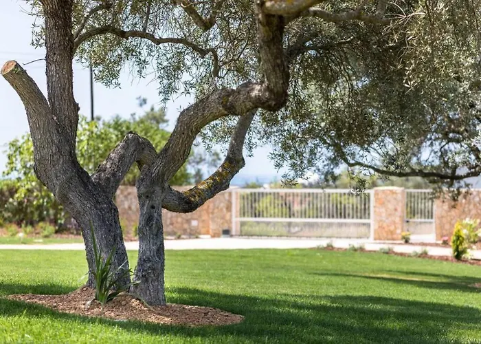 Casa Rosa - Heated Pool & Sea Views 别墅 *