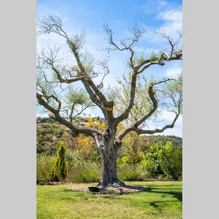 Casa Rosa - Heated Pool & Sea Views * Loule