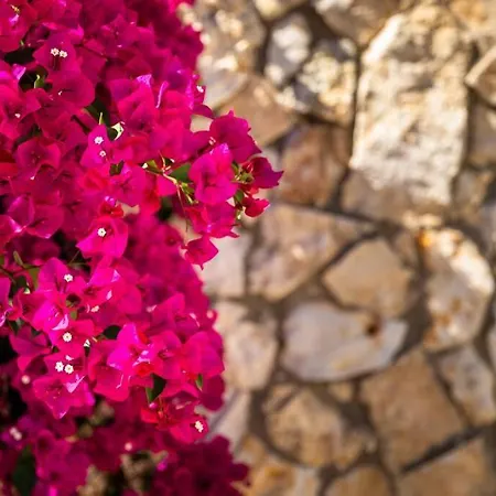 Casa Rosa - Heated Pool & Sea Views 빌라